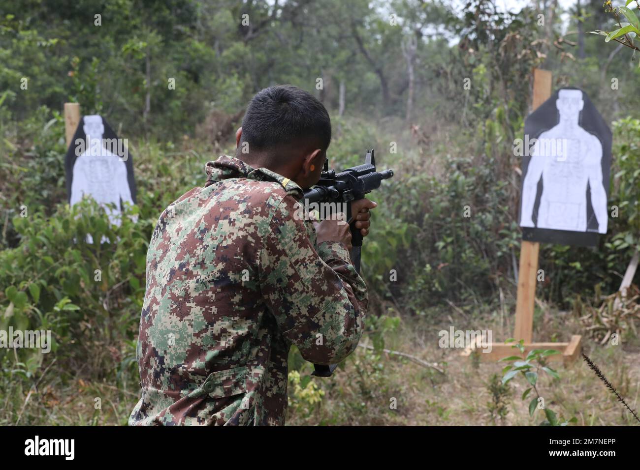 Manatee belize hi-res stock photography and images - Alamy