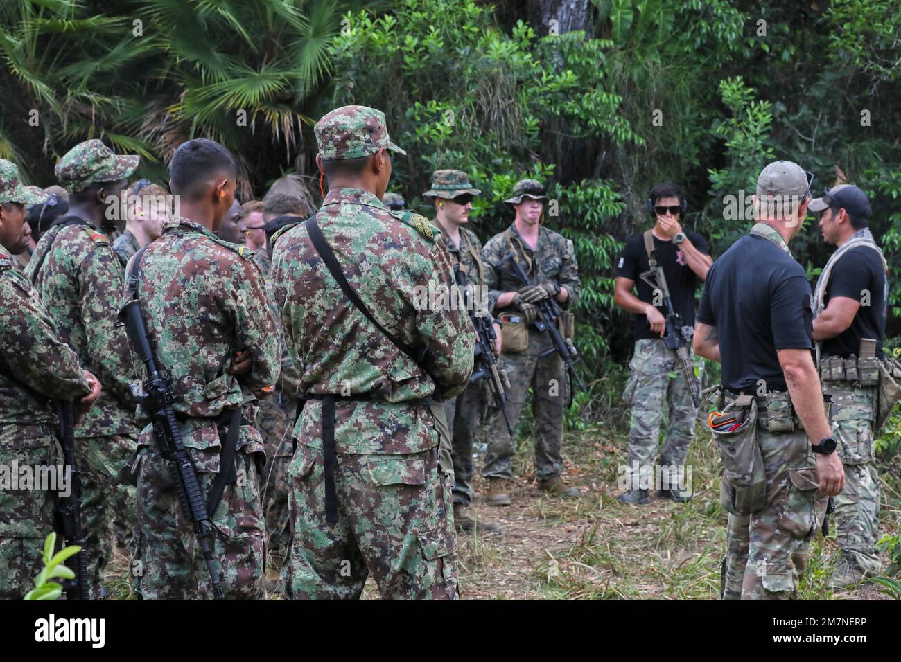 Manatee belize hi-res stock photography and images - Alamy