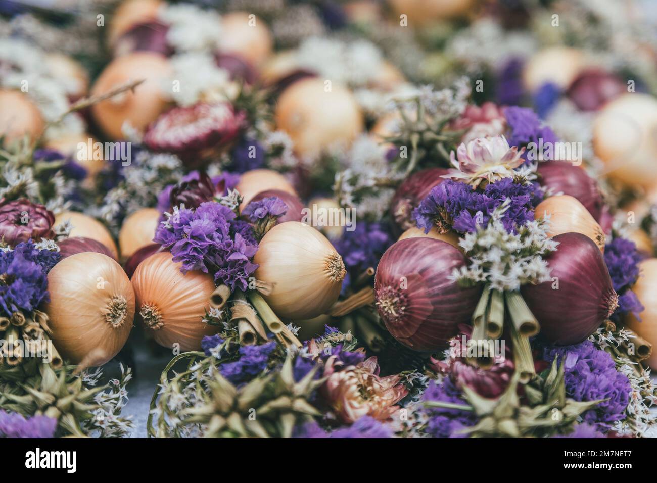 Flower decoration on onion plait, traditional Zibelemärit, onion market in Bern, Switzerland, edible onions (Allium cepa), close-up, Stock Photo