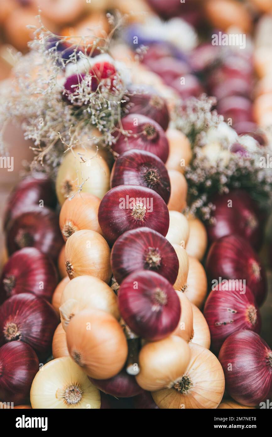 Traditional Zibelemärit, onion market in Bern, Switzerland, edible onions (Allium cepa), onion plait, close-up Stock Photo