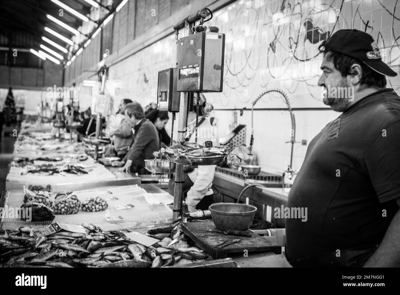 Algarve fish market, tavira, Portugal Stock Photo Alamy