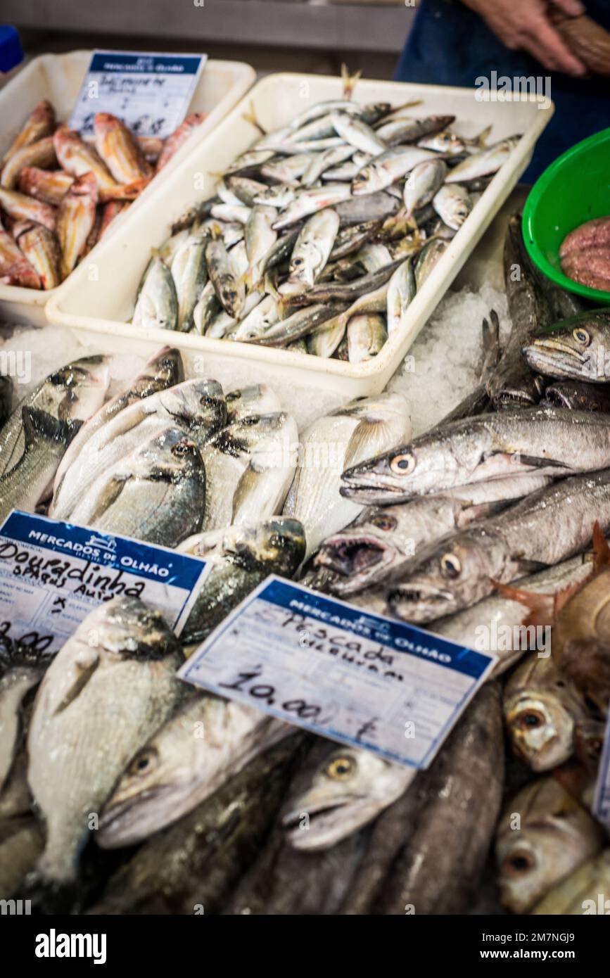 Algarve fish market, tavira, Portugal Stock Photo