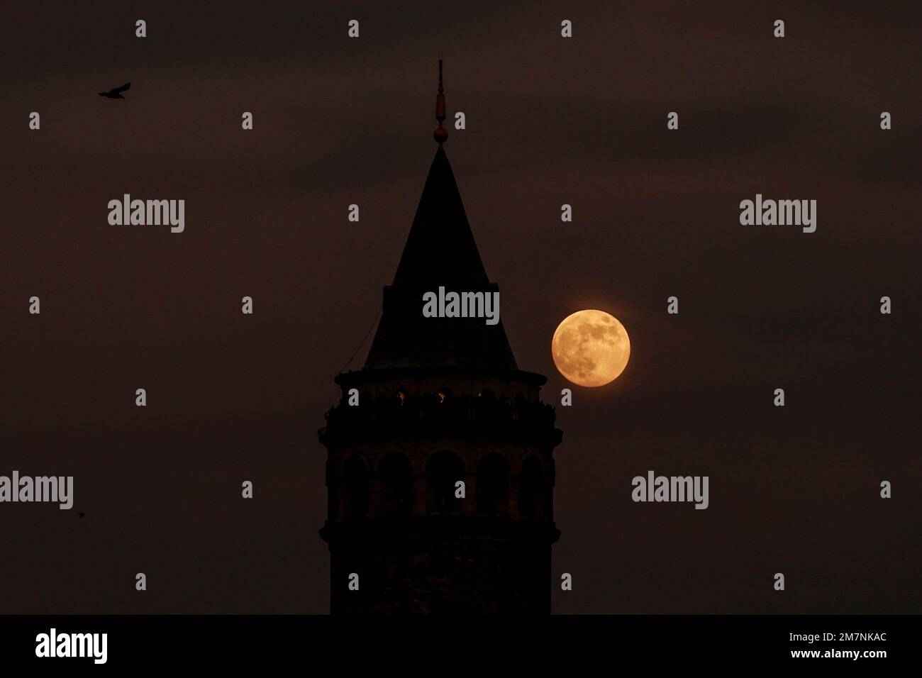 The last full moon of the year known as the Cold Moon rises behind ...