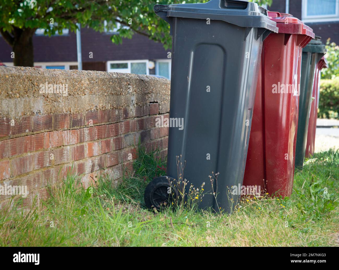 Line of rubbish, recycling or wheelie bins outside a domestic property in Reading, Berkshire, England, UK Stock Photo