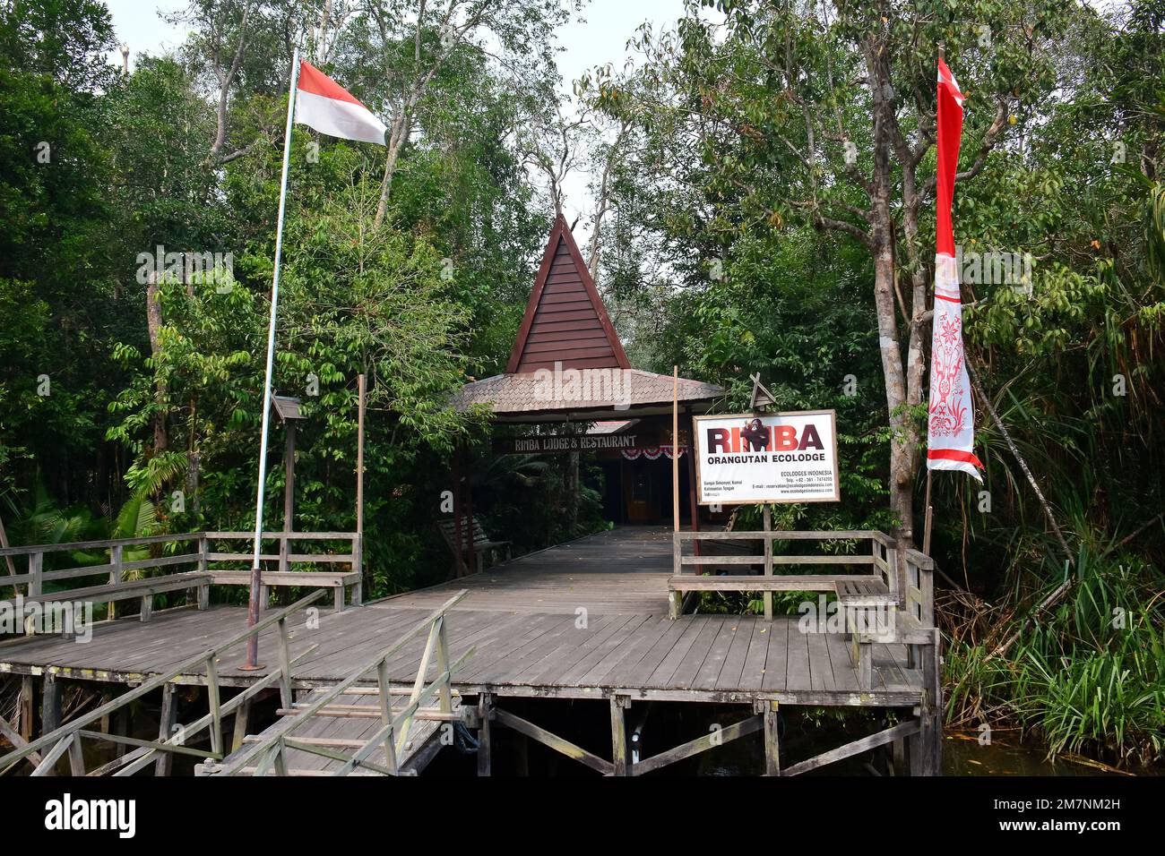 Rimba Orangutan Eco Lodge, swamp forest, Tanjung Puting National Park, Kalimantan, Borneo island