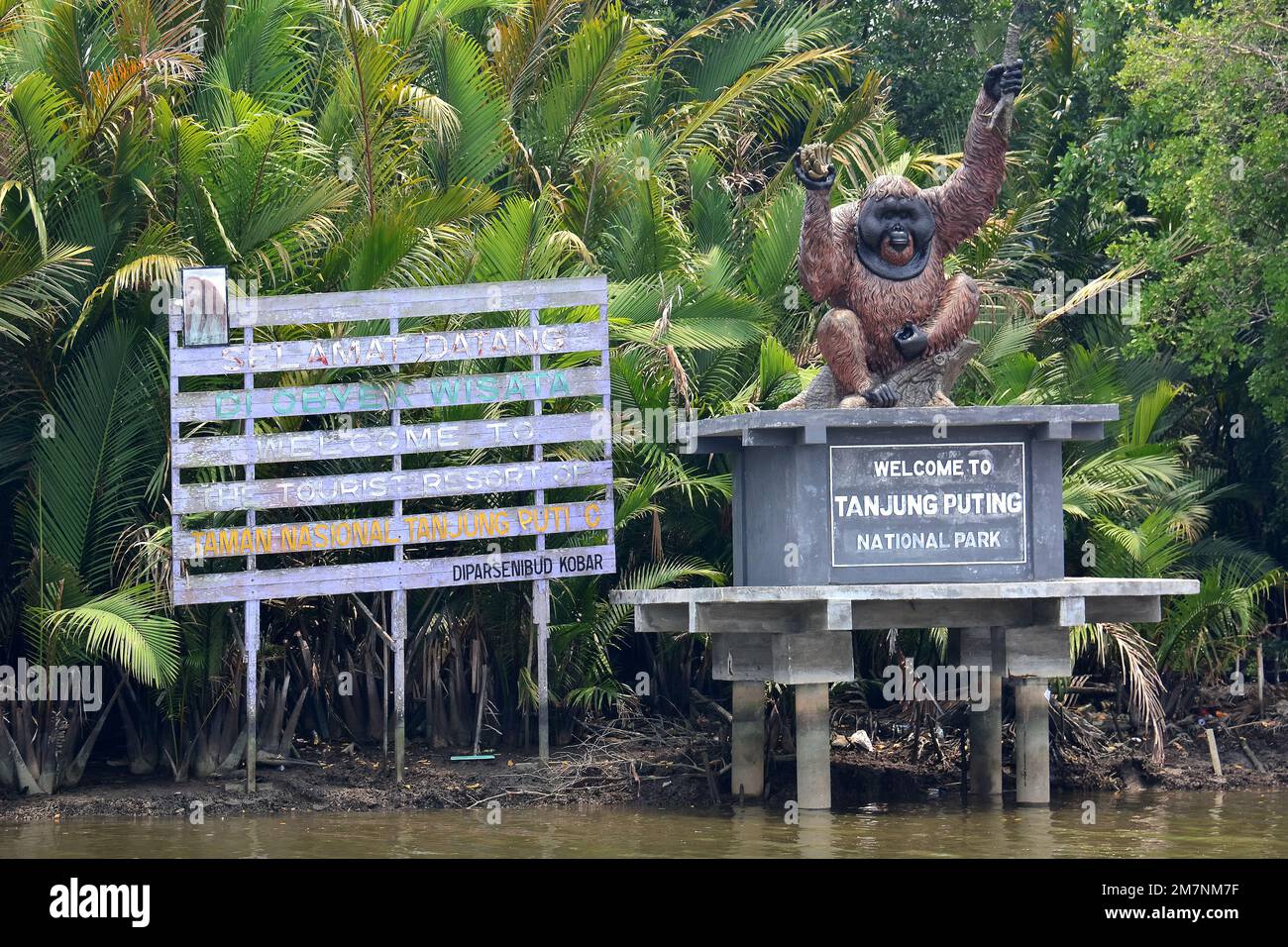 orangutan statue, swamp forest, Tanjung Puting National Park, Kalimantan, Borneo island