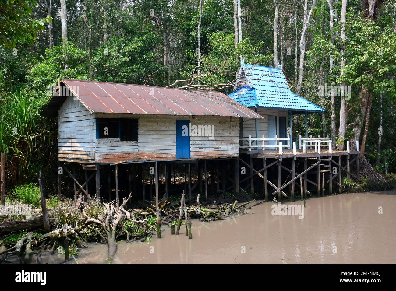 wooden houses, swamp forest, Tanjung Puting National Park, Kalimantan