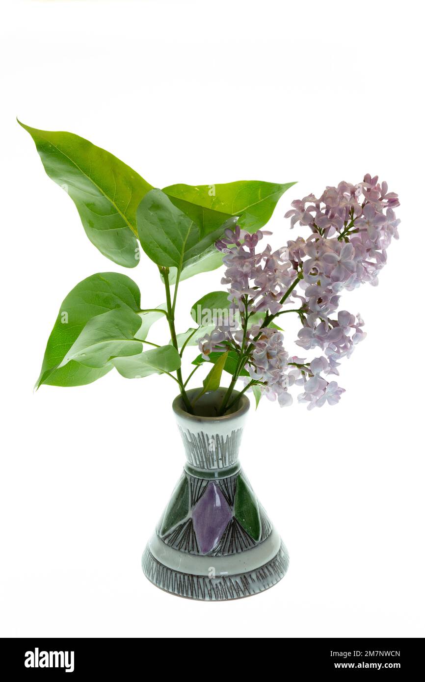 Branches with flowers and leaves of purple lilac are decorated in a small ceramic vase in the same colour against a white background. Stock Photo