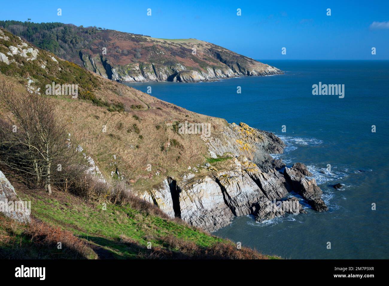 Europe, UK, England, Devon, near Kingswear, Coastal Views looking towards Scabbacombe Head from near Ivy Cove Stock Photo