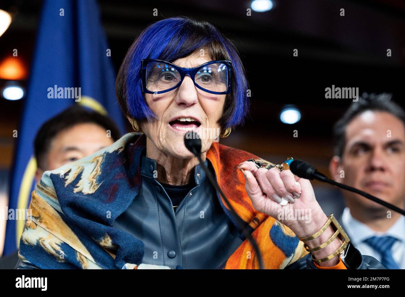 Rosa DeLauro U.S. Representative Rosa DeLauro (D-CT) speaking at the U.S. Capitol at