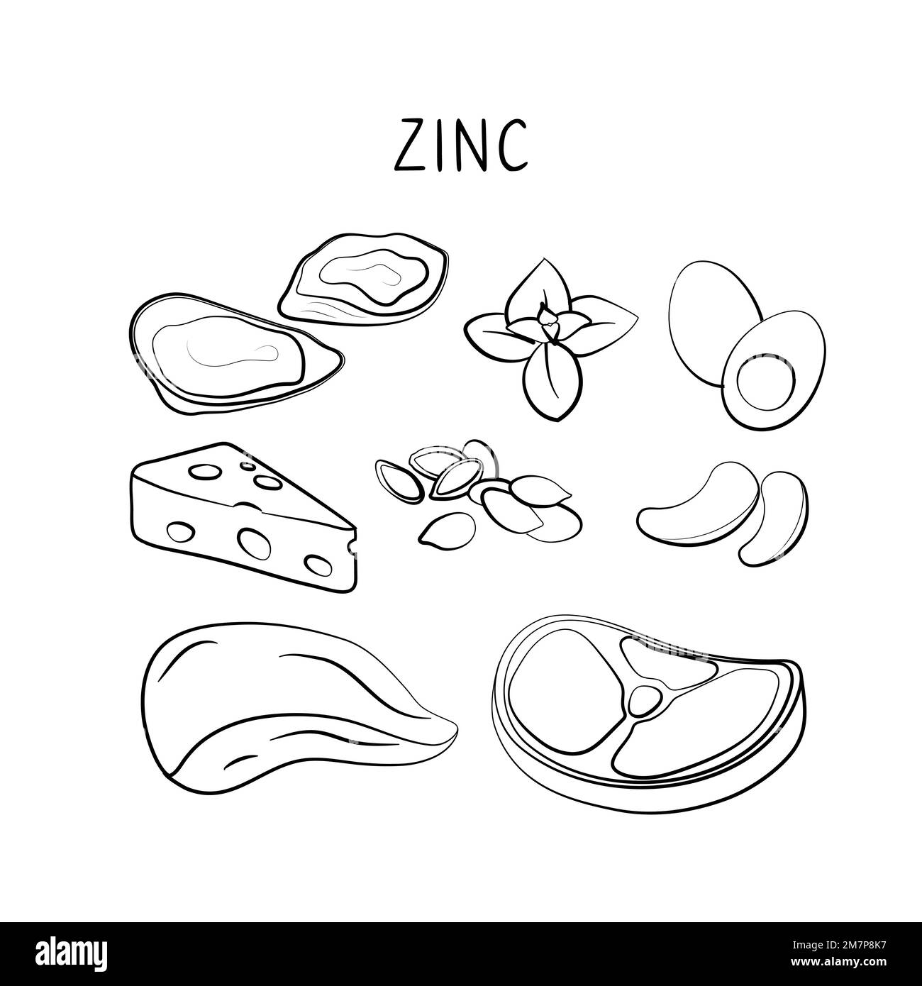 Zinccontaining food. Groups of healthy products containing vitamins