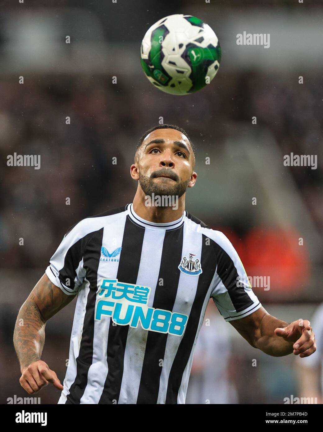 Callum Wilson 9 of Newcastle United during the Carabao Cup Quarter