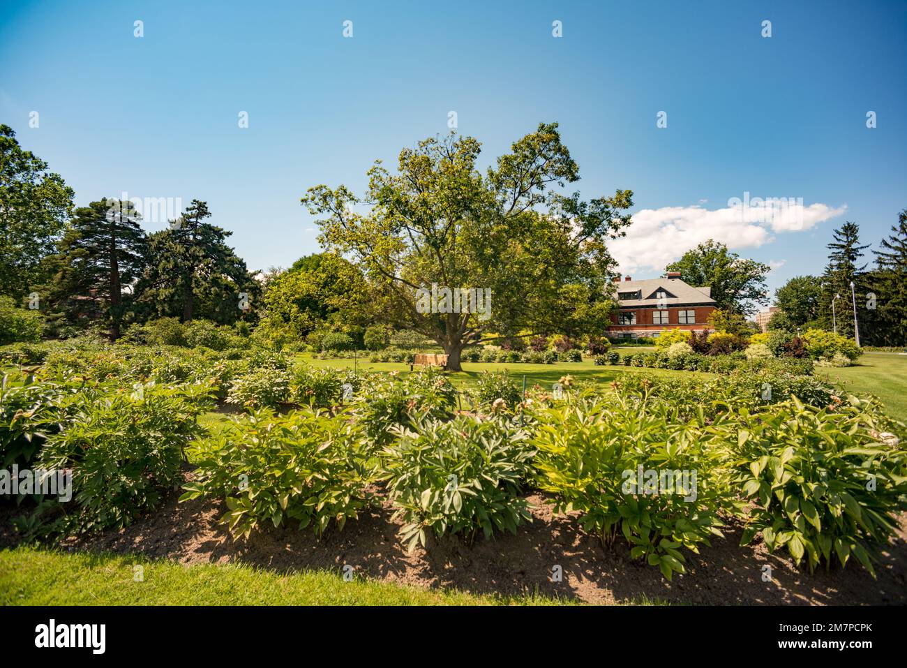 Arboretum, Dow's Lake, Ottawa, Ontario, Canada Stock Photo - Alamy