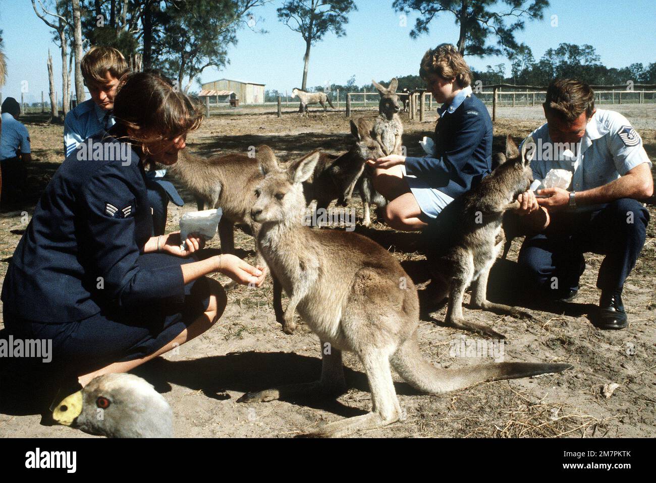 United States Air Force and RAAF personnel feed baby kangaroos during