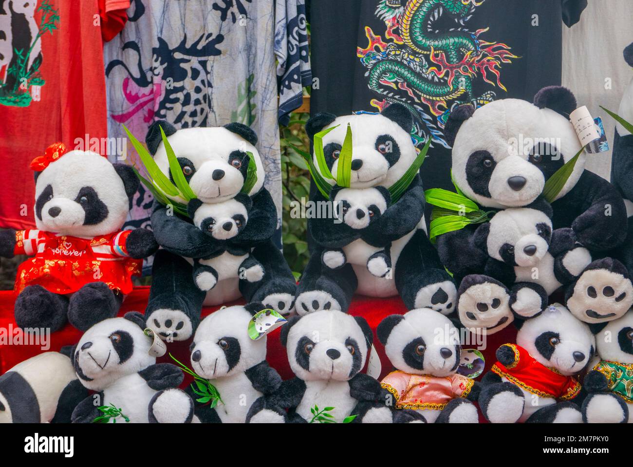 Yangtze River, Zhongxian, Chongqing, China Stock Photo