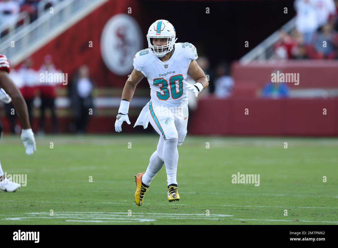 Miami Dolphins fullback Alec Ingold (30) runs for a touchdown during the  first half of an NFL football game against the Cleveland Browns, Sunday,  Nov. 13, 2022, in Miami Gardens, Fla. (AP