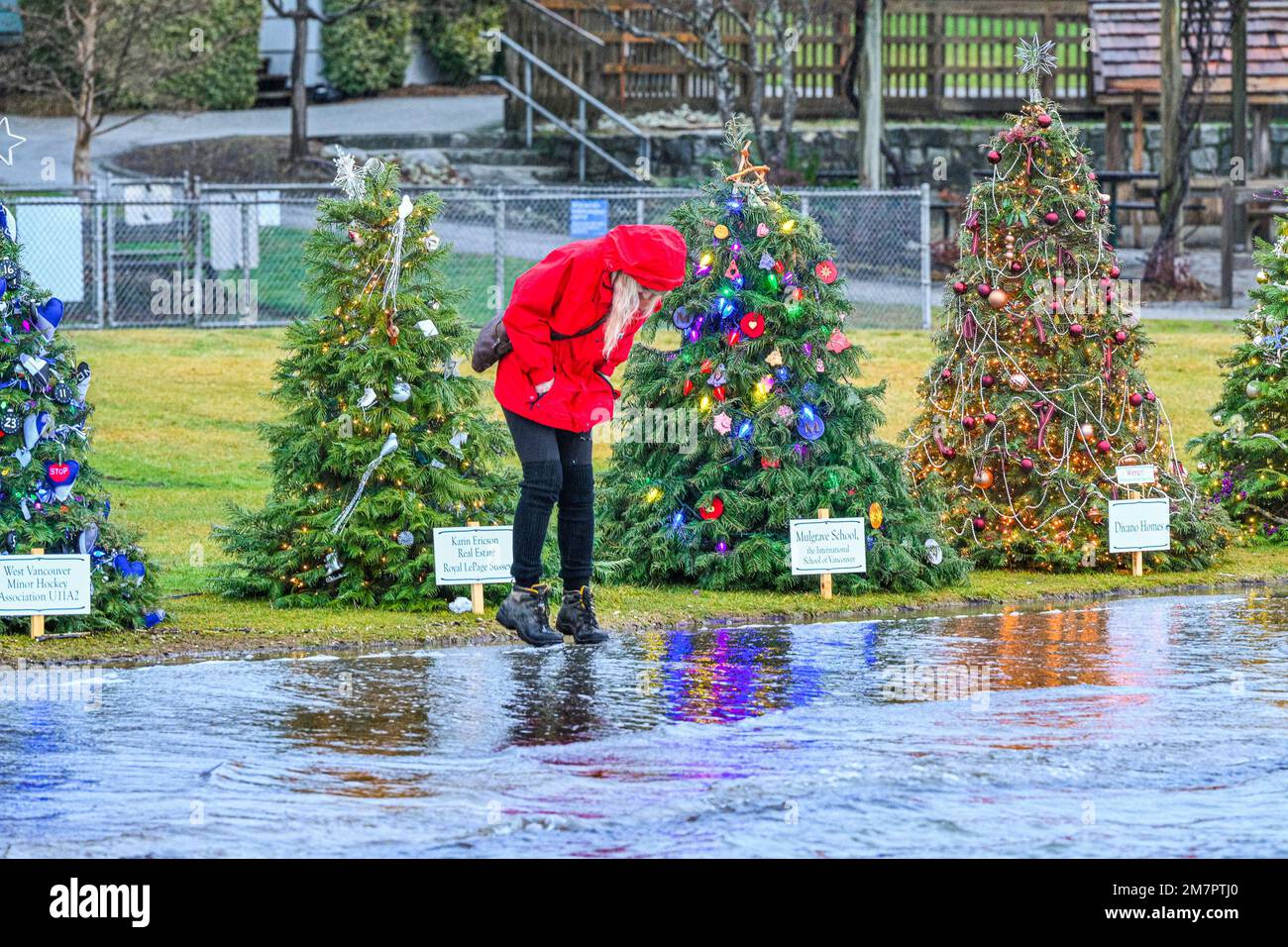 King Tide crosses oceanside path and encroaches on Christmas Trees