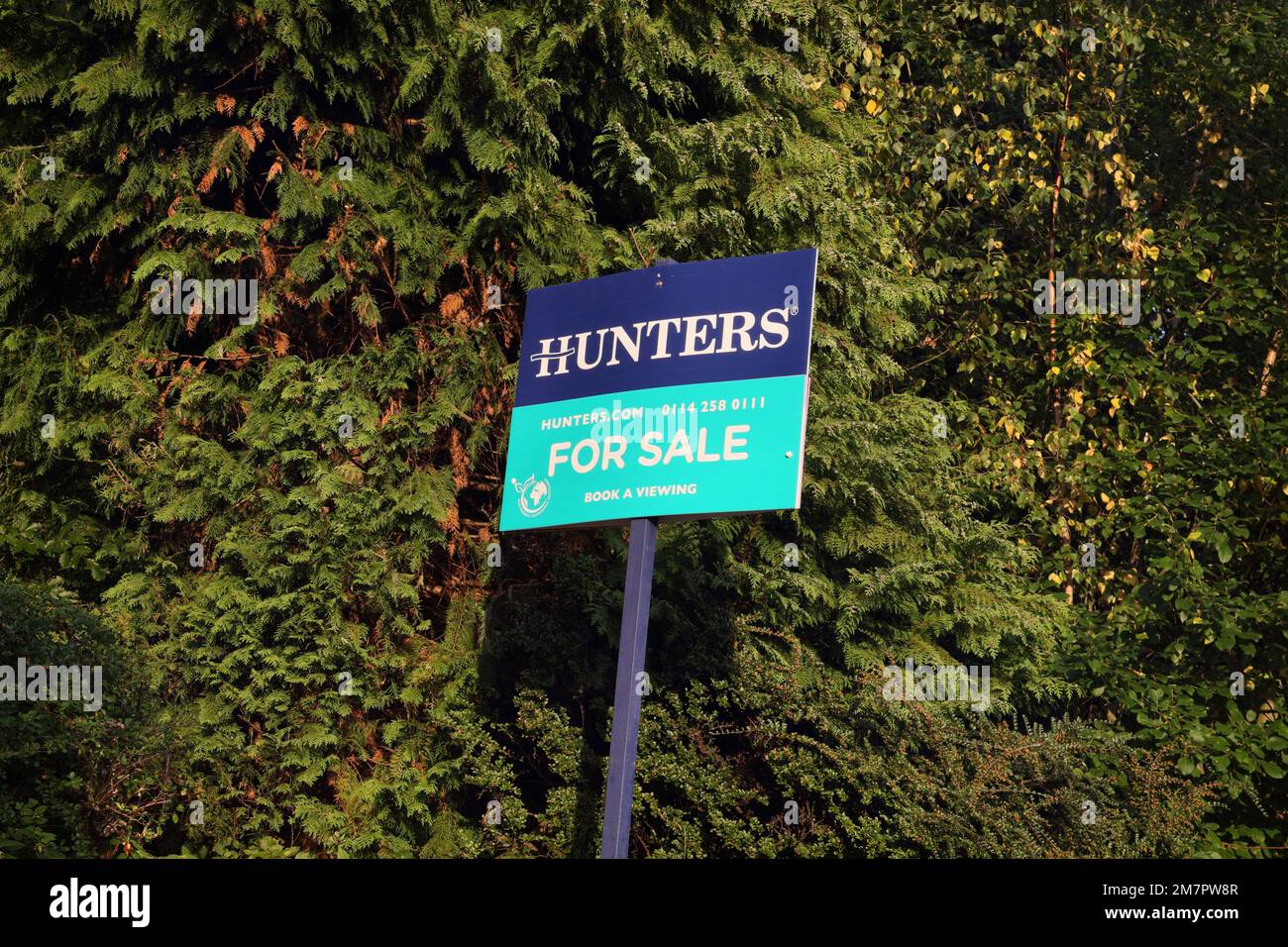 Hunters estate agent, for sale sign Stock Photo Alamy