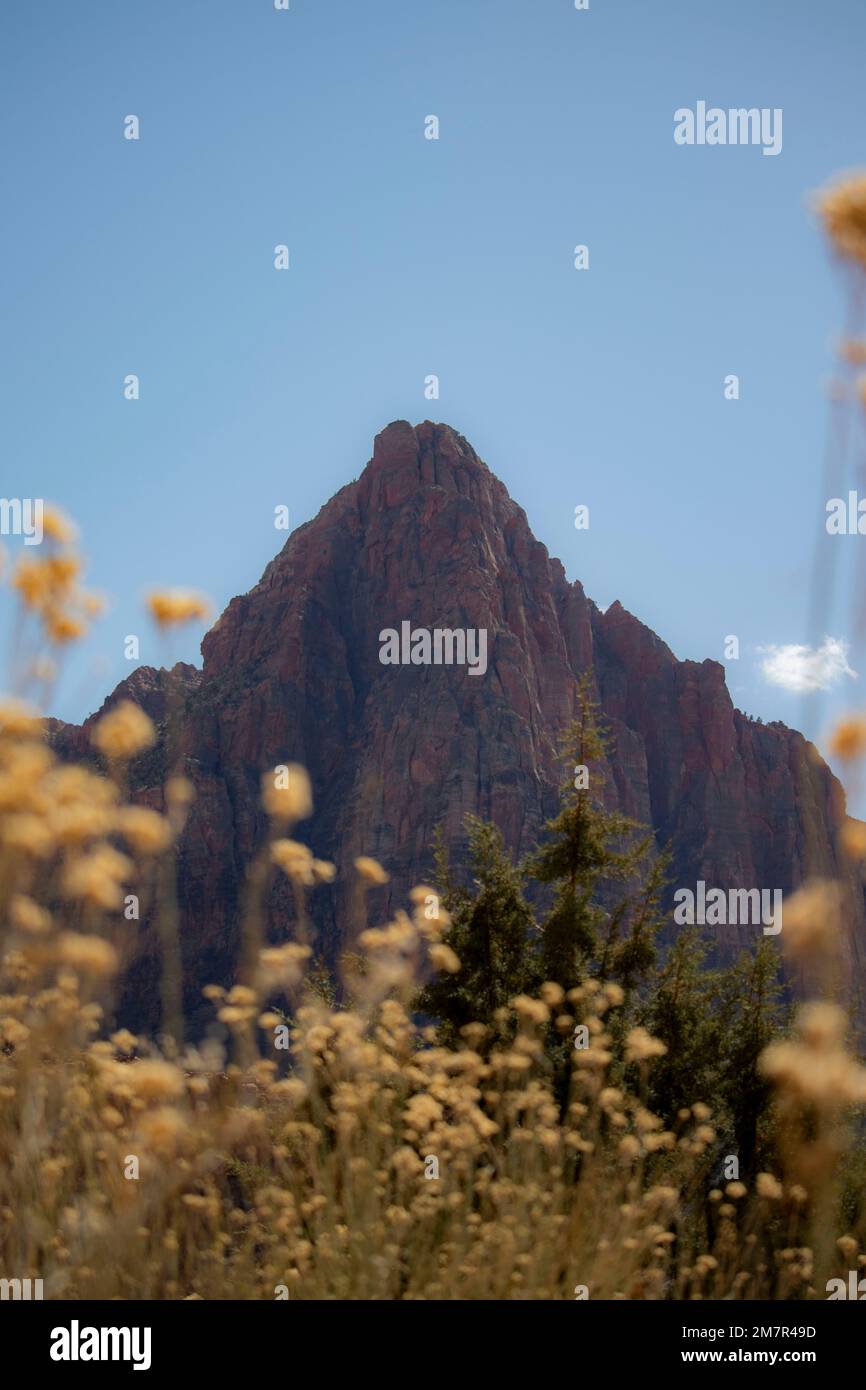 Breathtaking views zion national park hi-res stock photography and ...