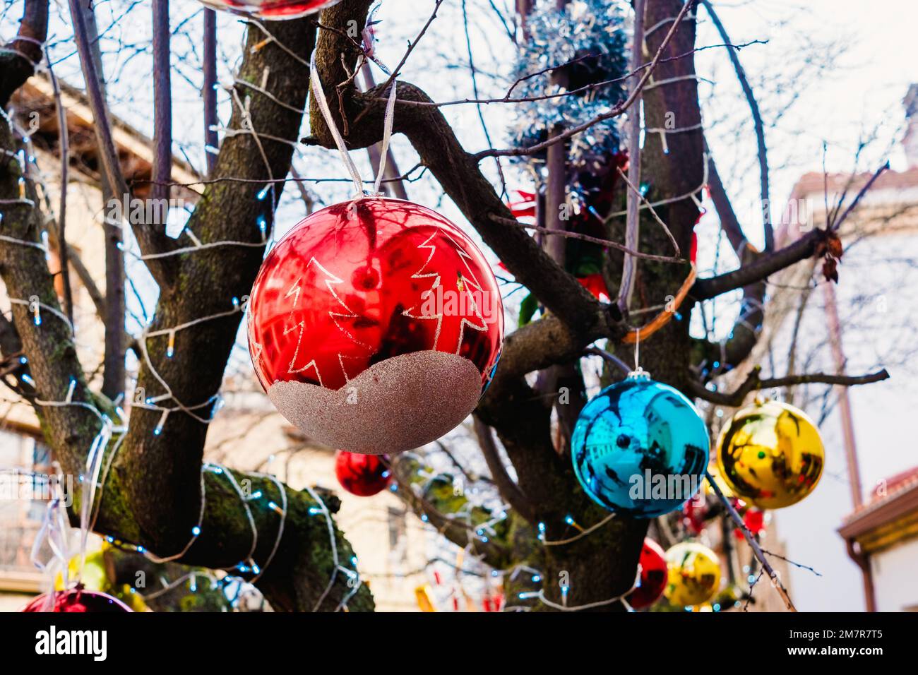 Christmas decorative balls with glitter hang on a tree on the street ...