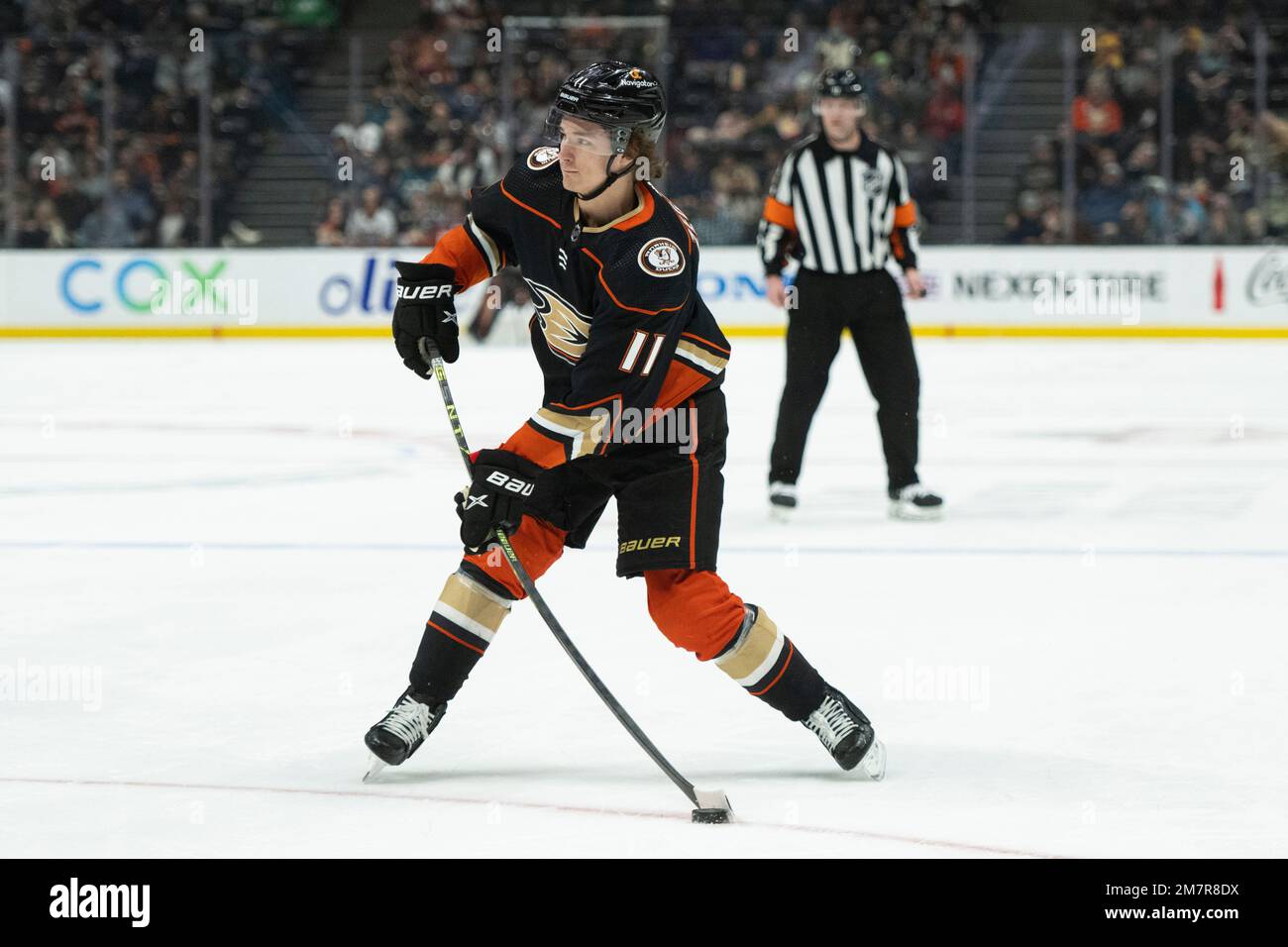 Anaheim Ducks Find Common Ground with Sled Hockey