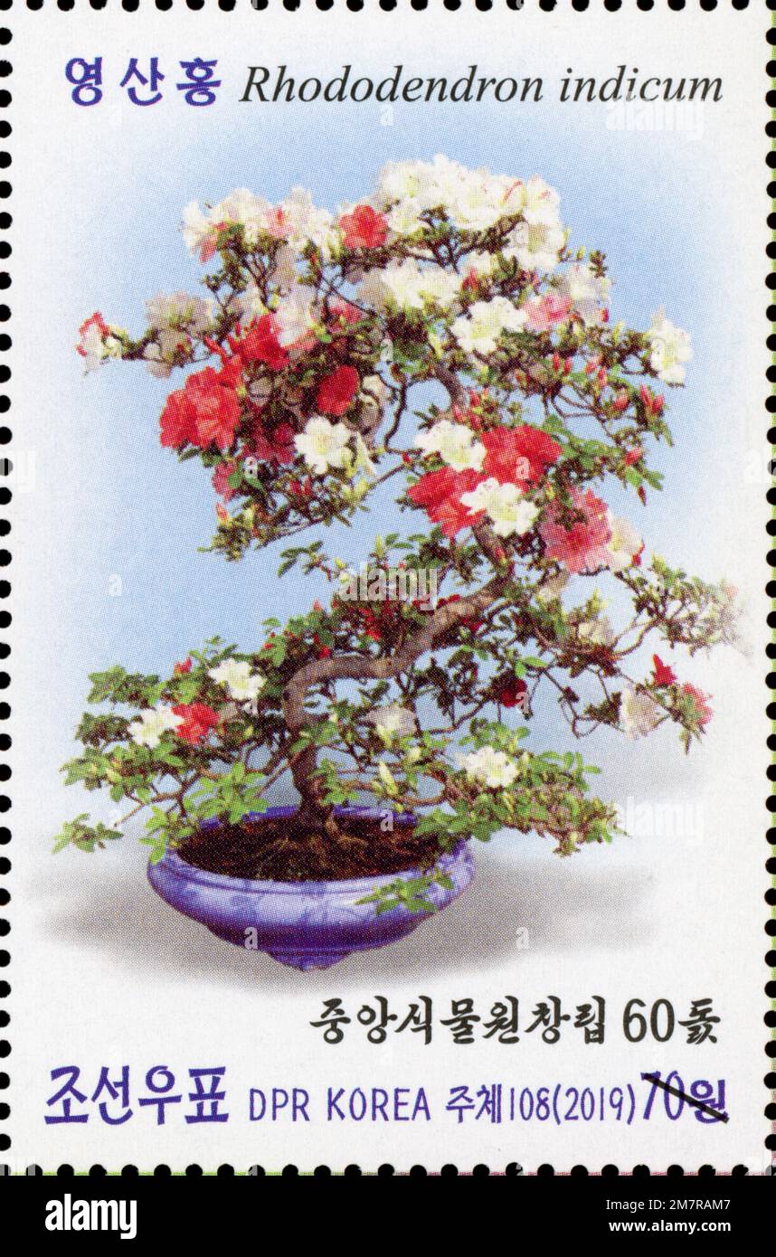 2019 North korea stamp set.  The 60th Anniversary of the Central Botanical Gardens - bonsai tree, Rhododendron indicum Stock Photo