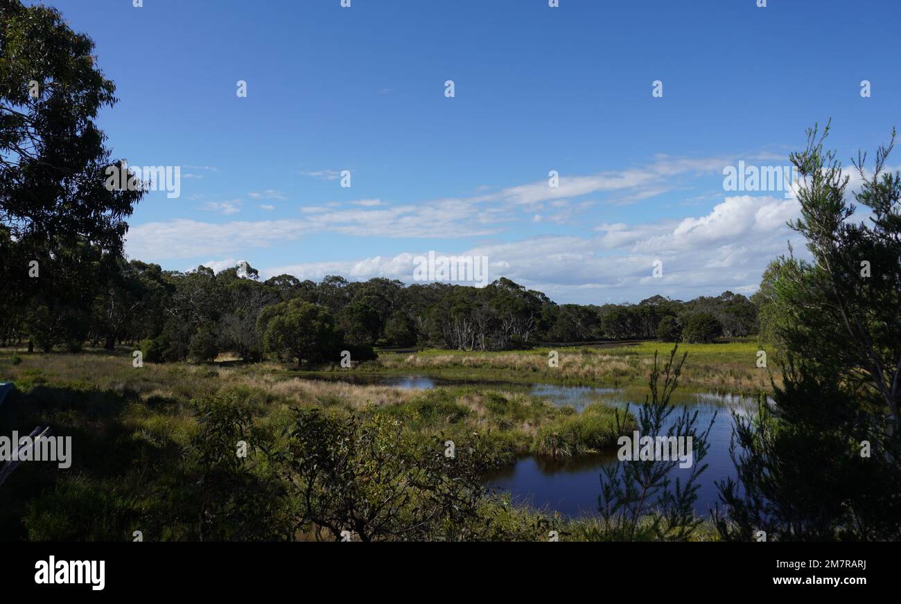 Phillip Island Conservation Park Stock Photo