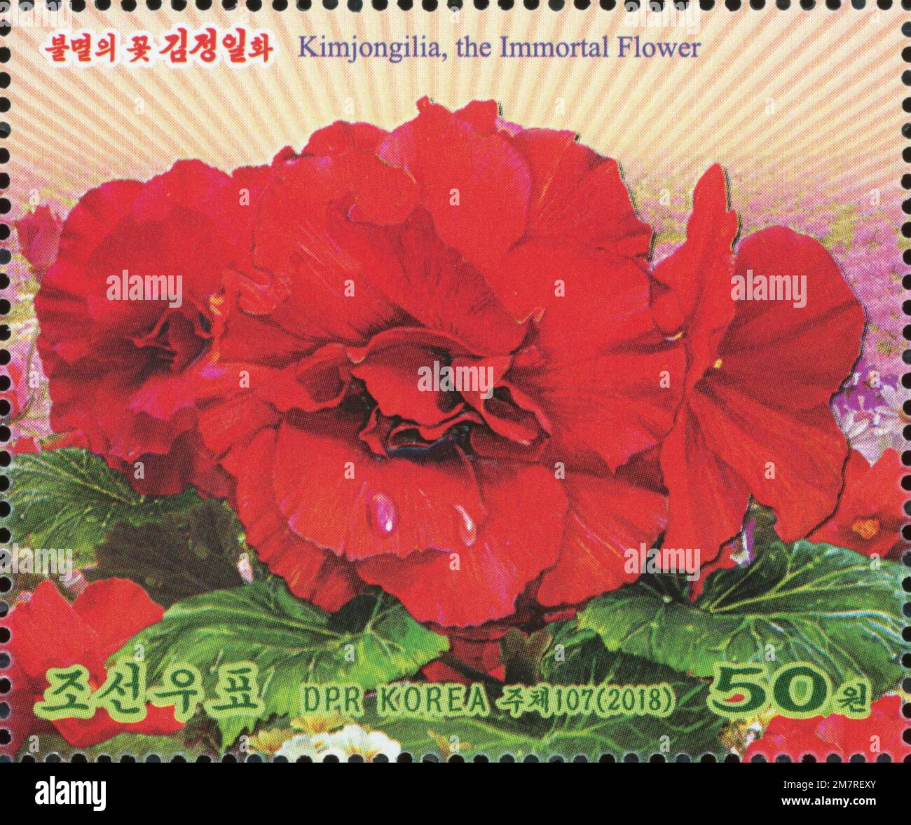 North Korean National Flower