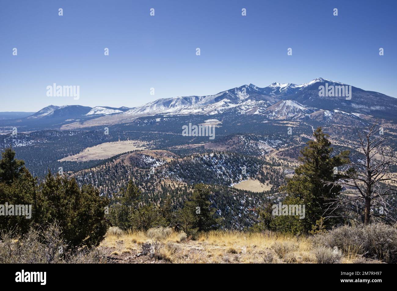 the San Francisco Peaks including Elden Mountain Agassiz Peak and Mount Humphreys in Arizona from OLeary Peak Stock Photo
