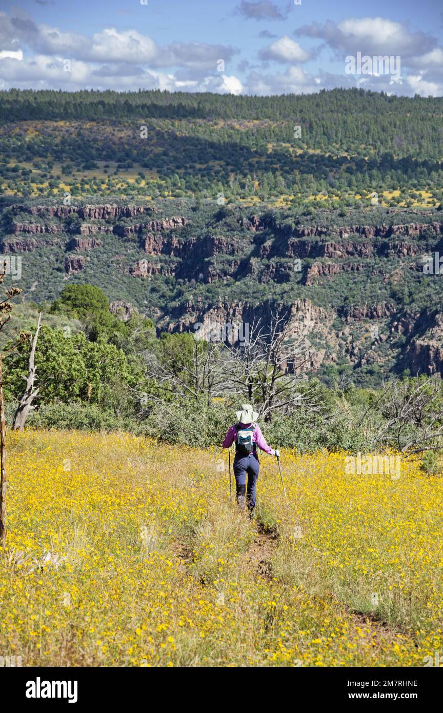 Back view of a woman walking hi-res stock photography and images - Alamy