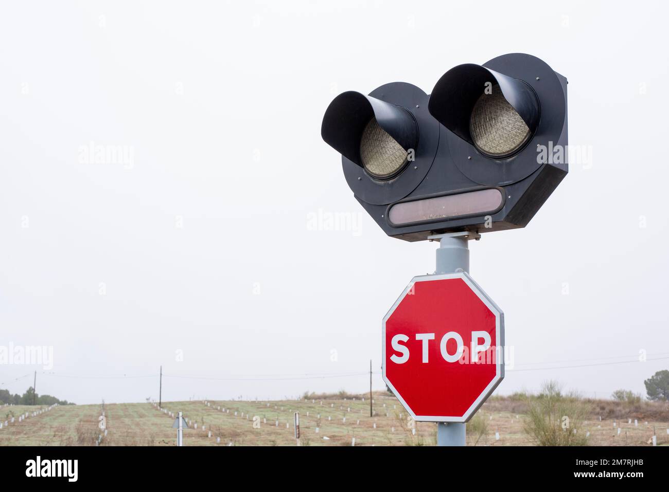Señal de stop con semáforo en un paso a nivel del tren Stock Photo