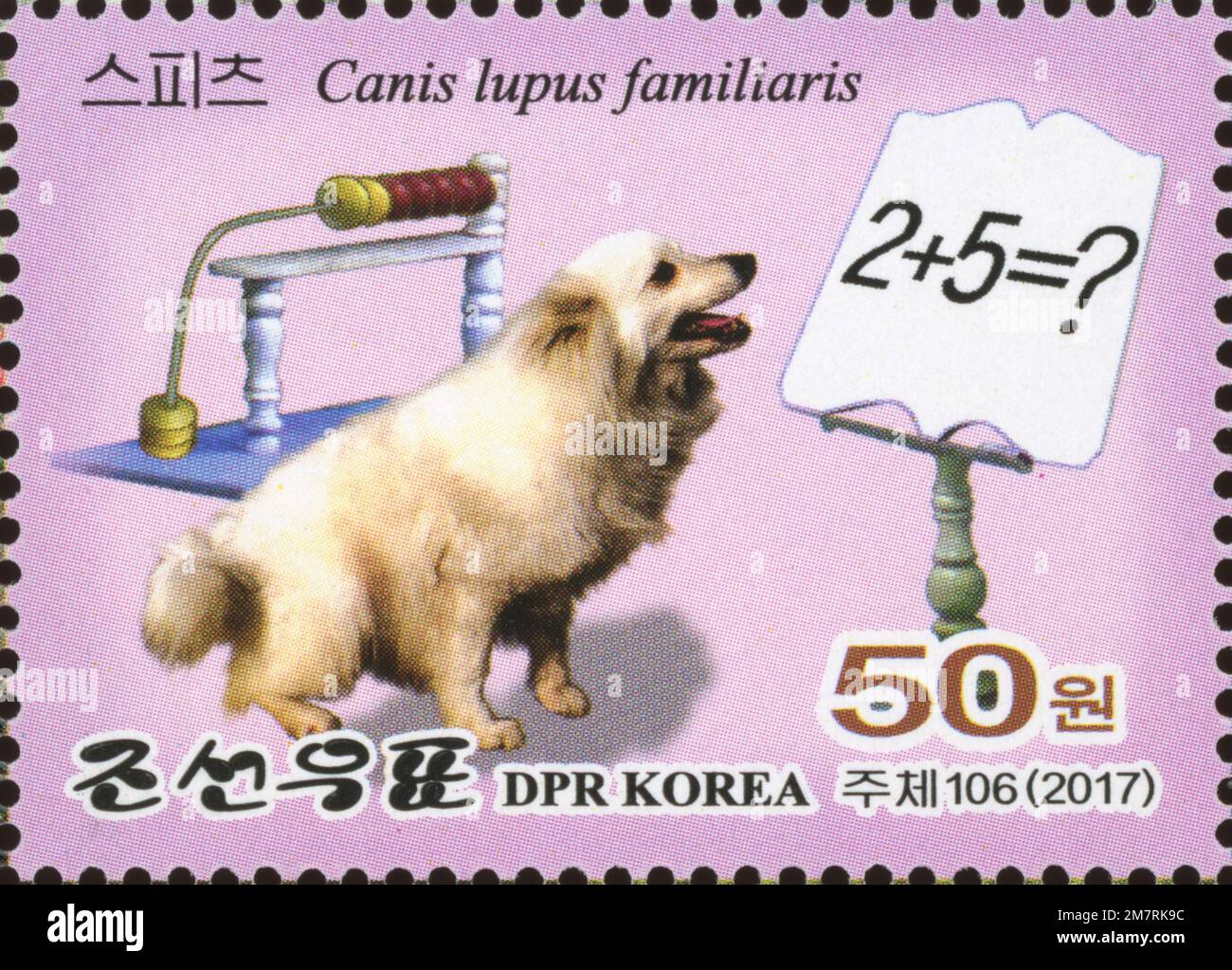 2017 North Korea postage stamp featuring a performing Spitz dog at ...