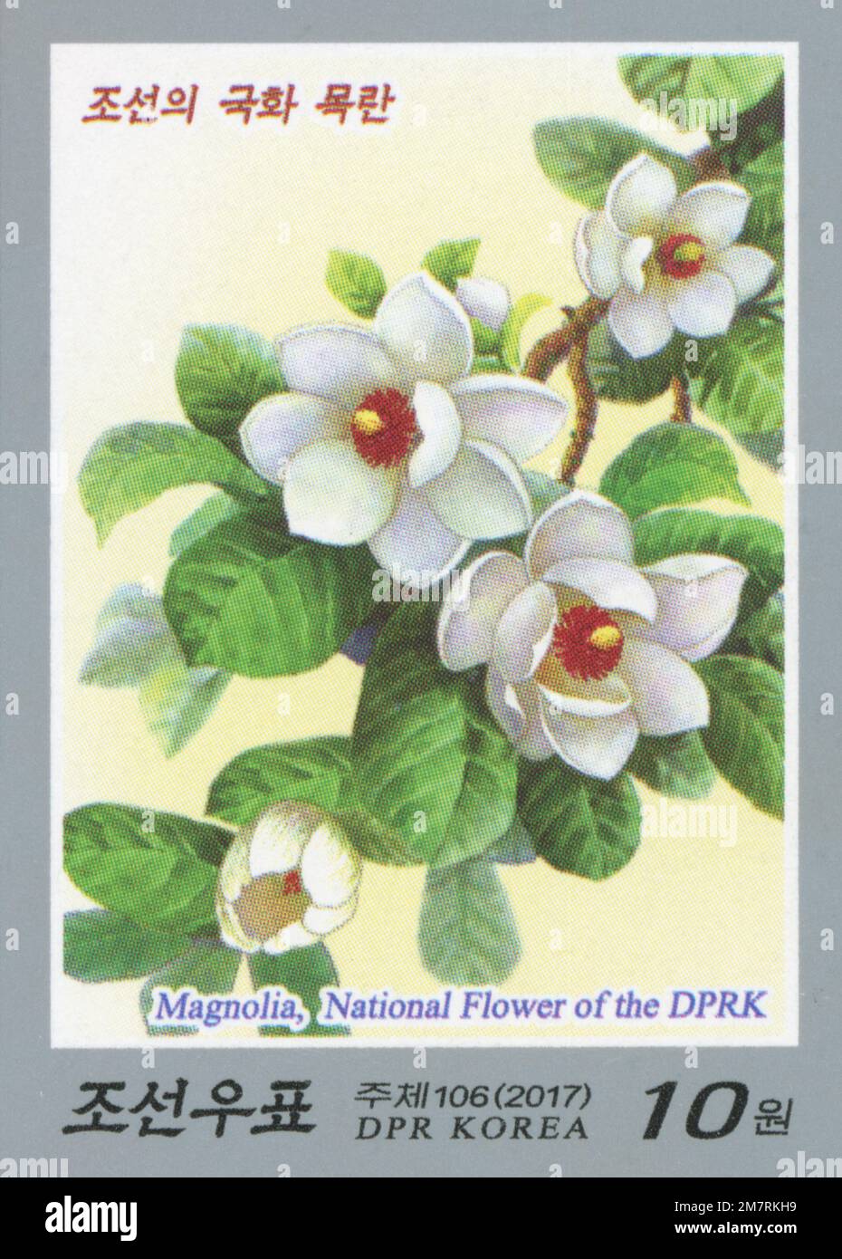 north korean national flower