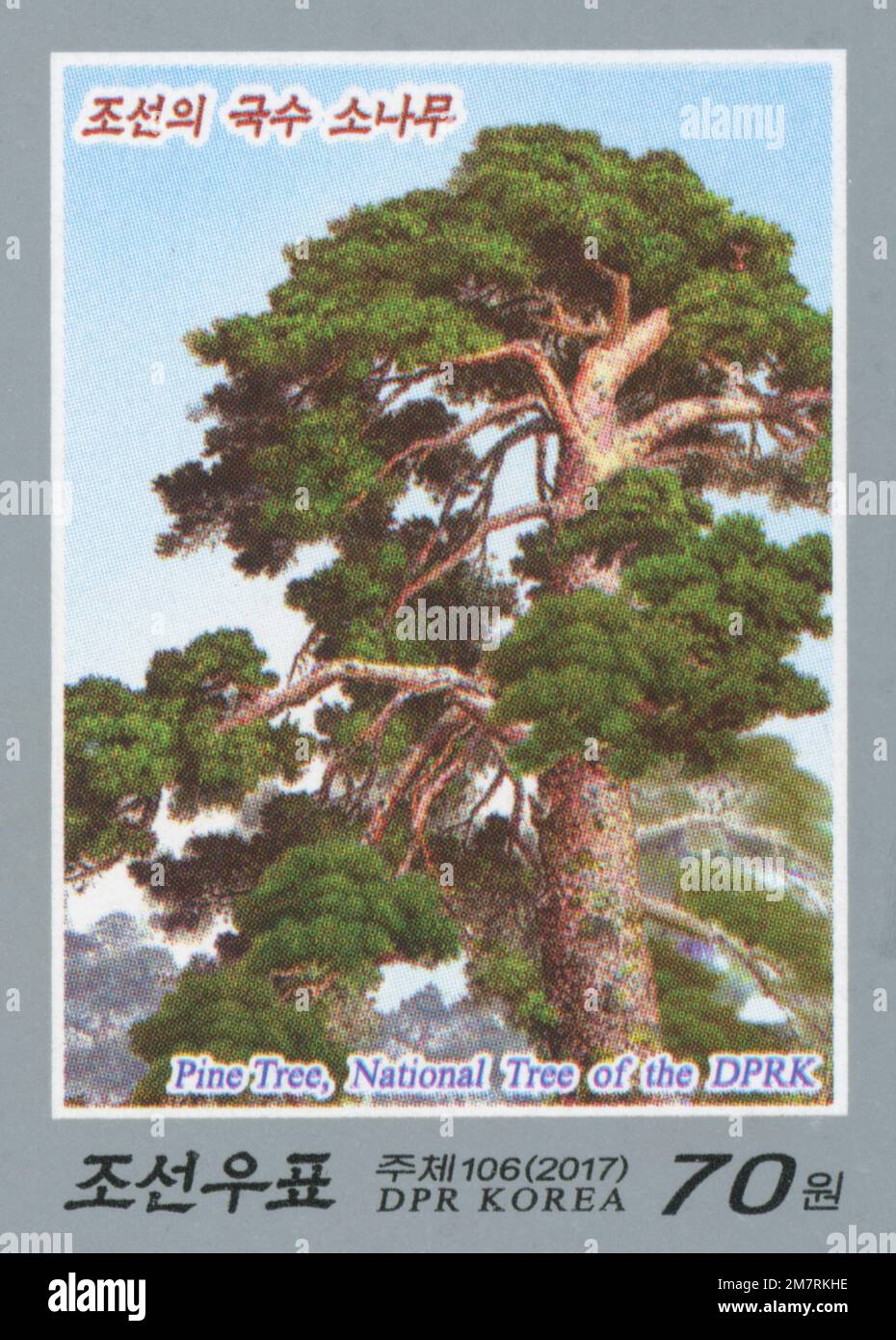 2017 North Korea stamp set. National Flora and Fauna of North Korea. Korean Pine tree, pinus koraiensis Stock Photo