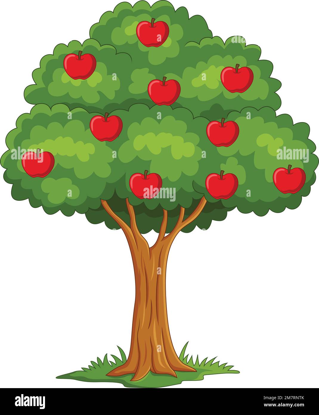 Cartoon apple tree isolated on white background Stock Vector Image ...