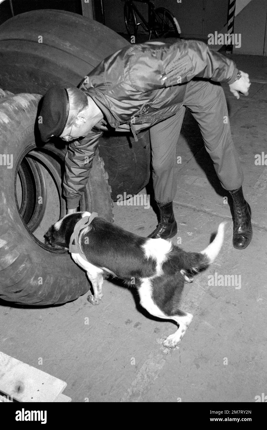 Police Drug Seizure Black And White Stock Photos Images Alamy police-drug-seizure-black-and-white-stock-photos-images-alamy