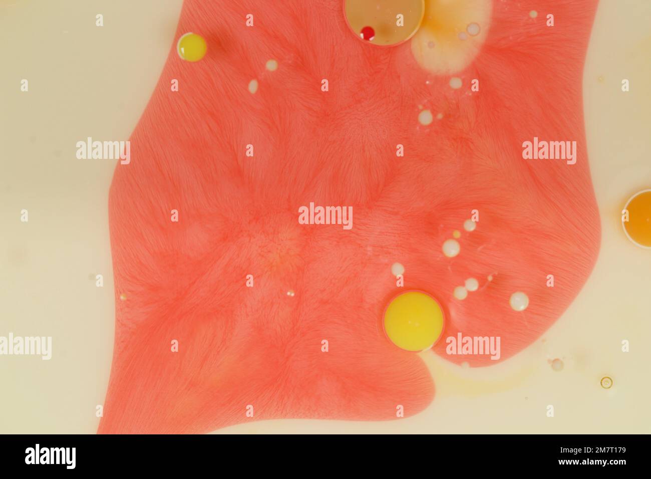 Macro art using the interaction of different fluid densities such as