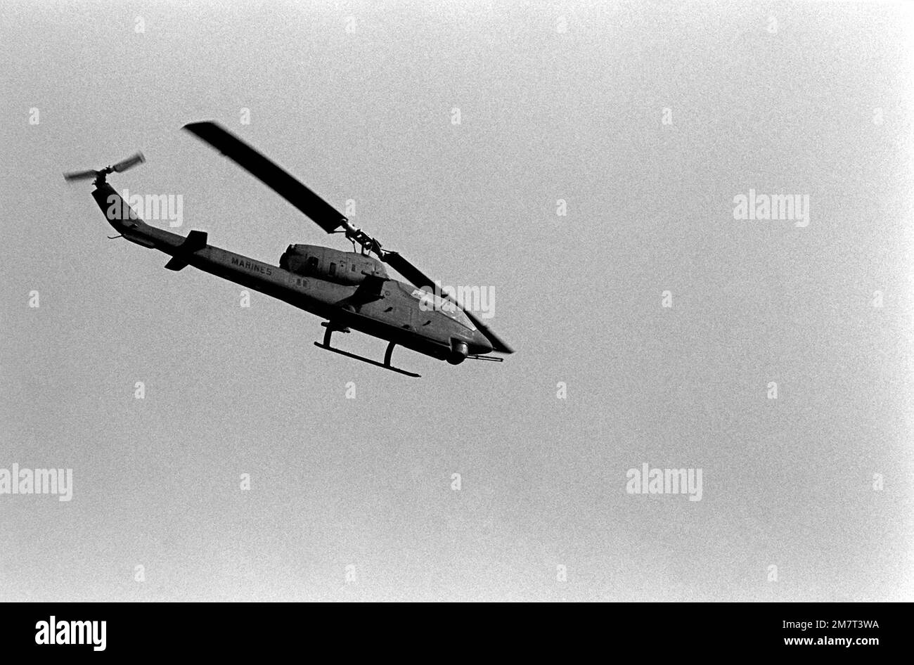 An air-to-air right side view of an AH-1 Sea Cobra helicopter during the NATO exercise Display Determination '81. Subject Operation/Series: DISPLAY DETERMINATION '81 Base: Doganbey Country: Turkey (TUR) Stock Photo