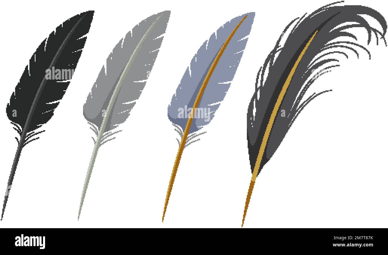 Set of different feather pen quills illustration Stock Vector Image