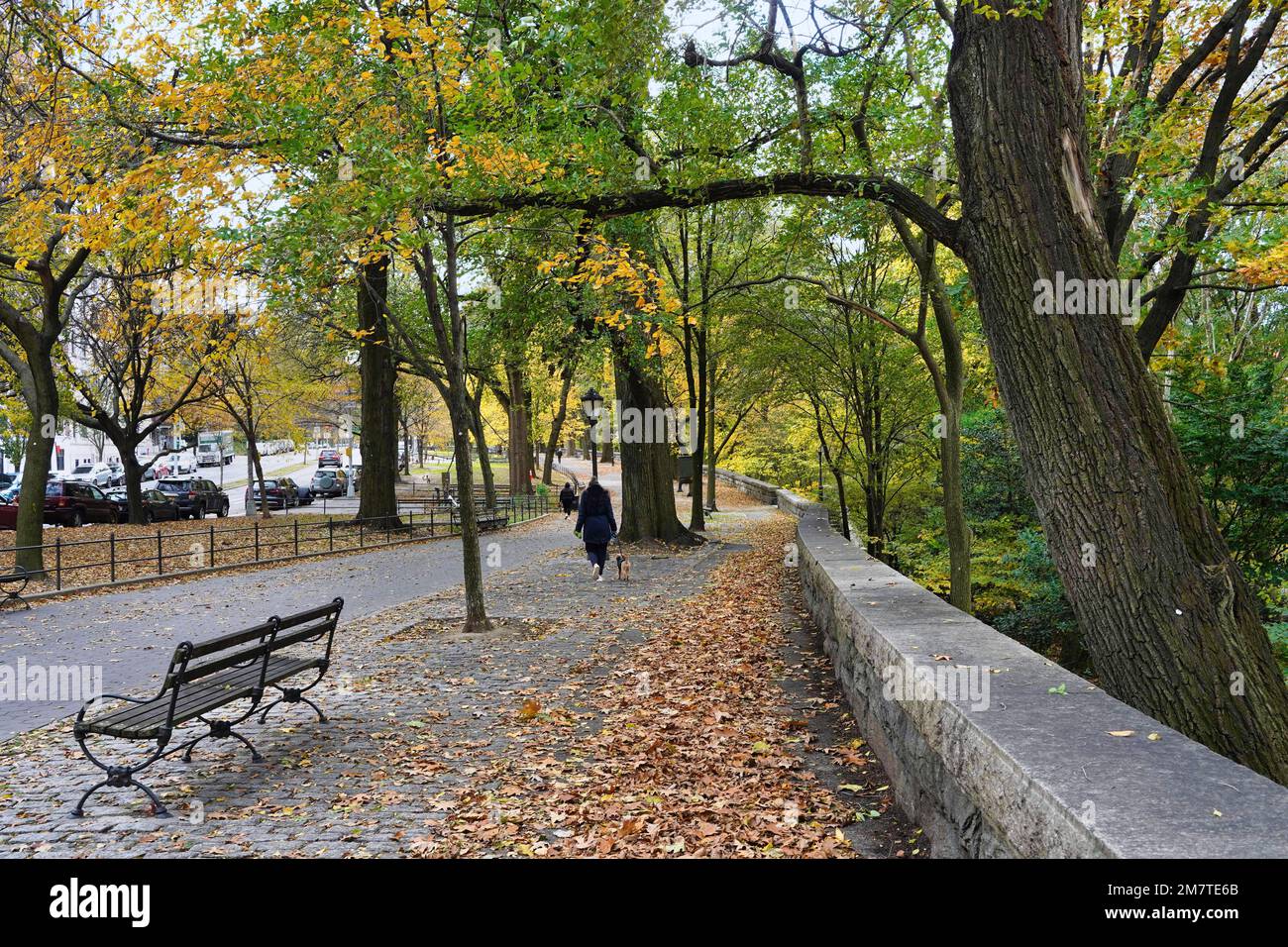 New York City, wide sidewalk along Riverside Drive near Columbia University, bordering Riverside Park, and trees with fall foliage Stock Photo