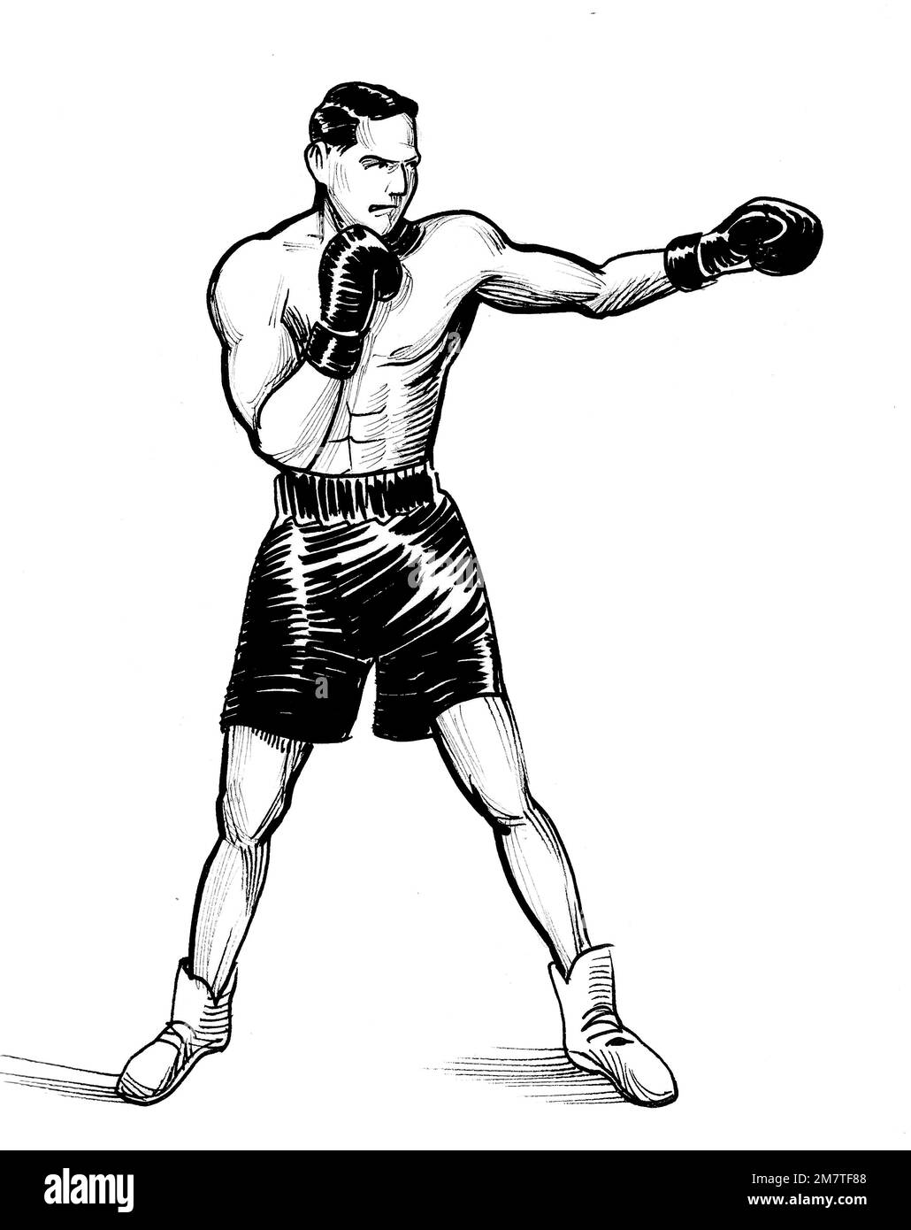 Boxing athlete. Ink black and white drawing Stock Photo Alamy