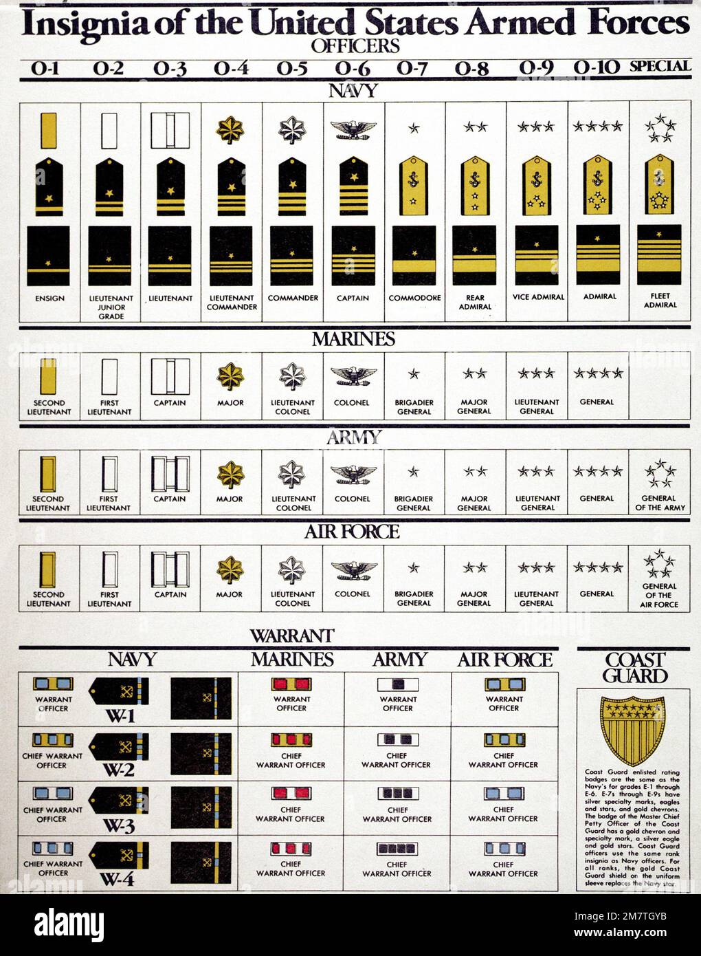 Chart of officers of the U.S. Armed Forces. Country Unknown Stock