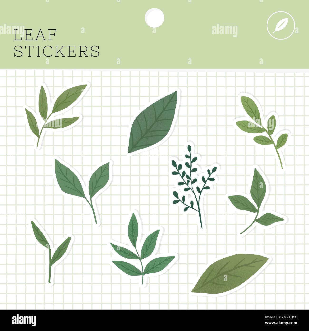 Leaf stickers package vector Stock Vector Image & Art Alamy