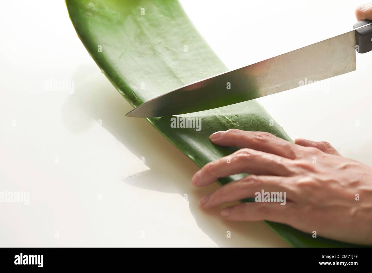 dermasence aloe vera maske Schaebens Aloe Vera Mask  Glamorofy