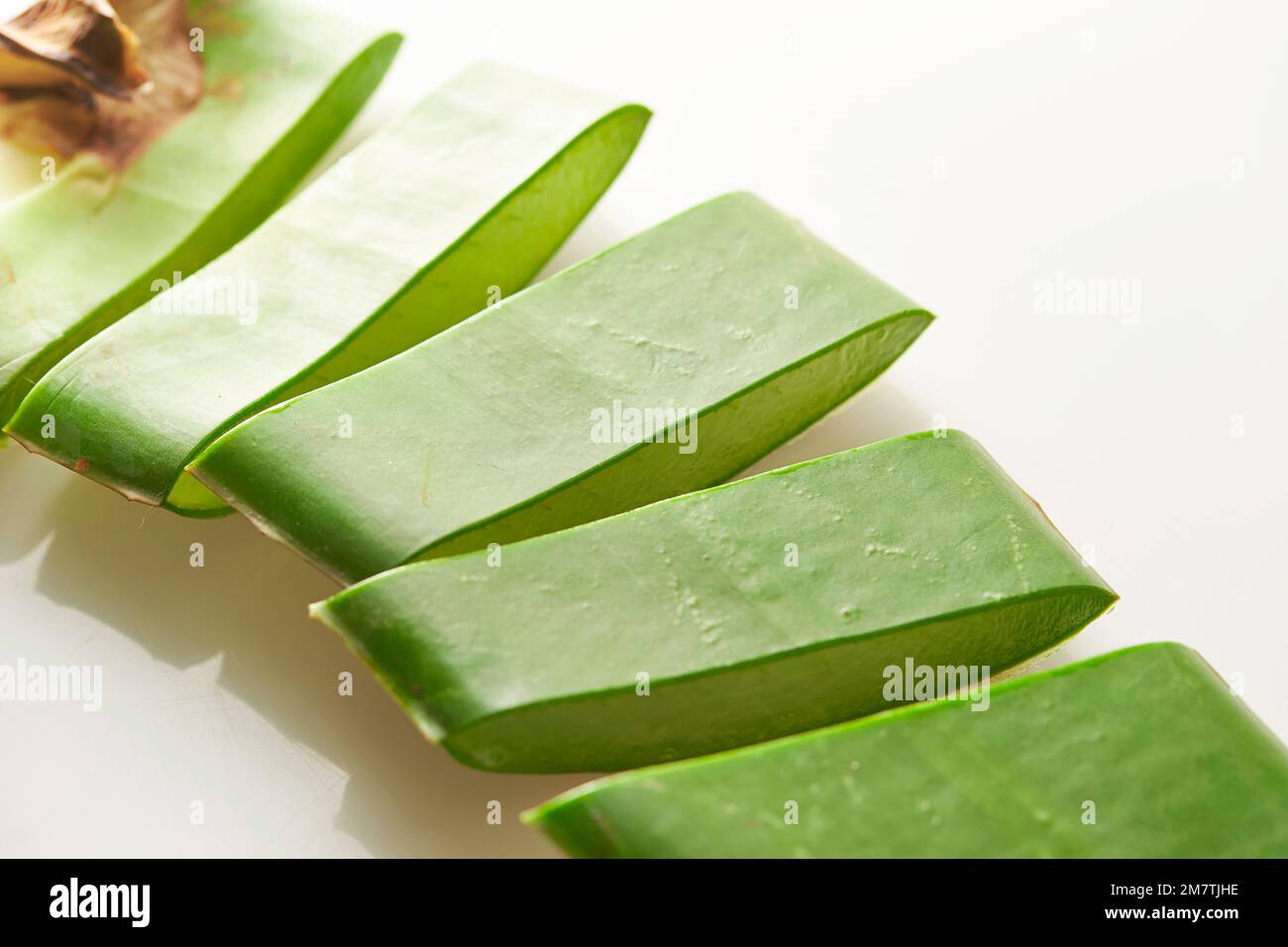 Aloe vera leaf cross section hi-res stock photography and images - Alamy