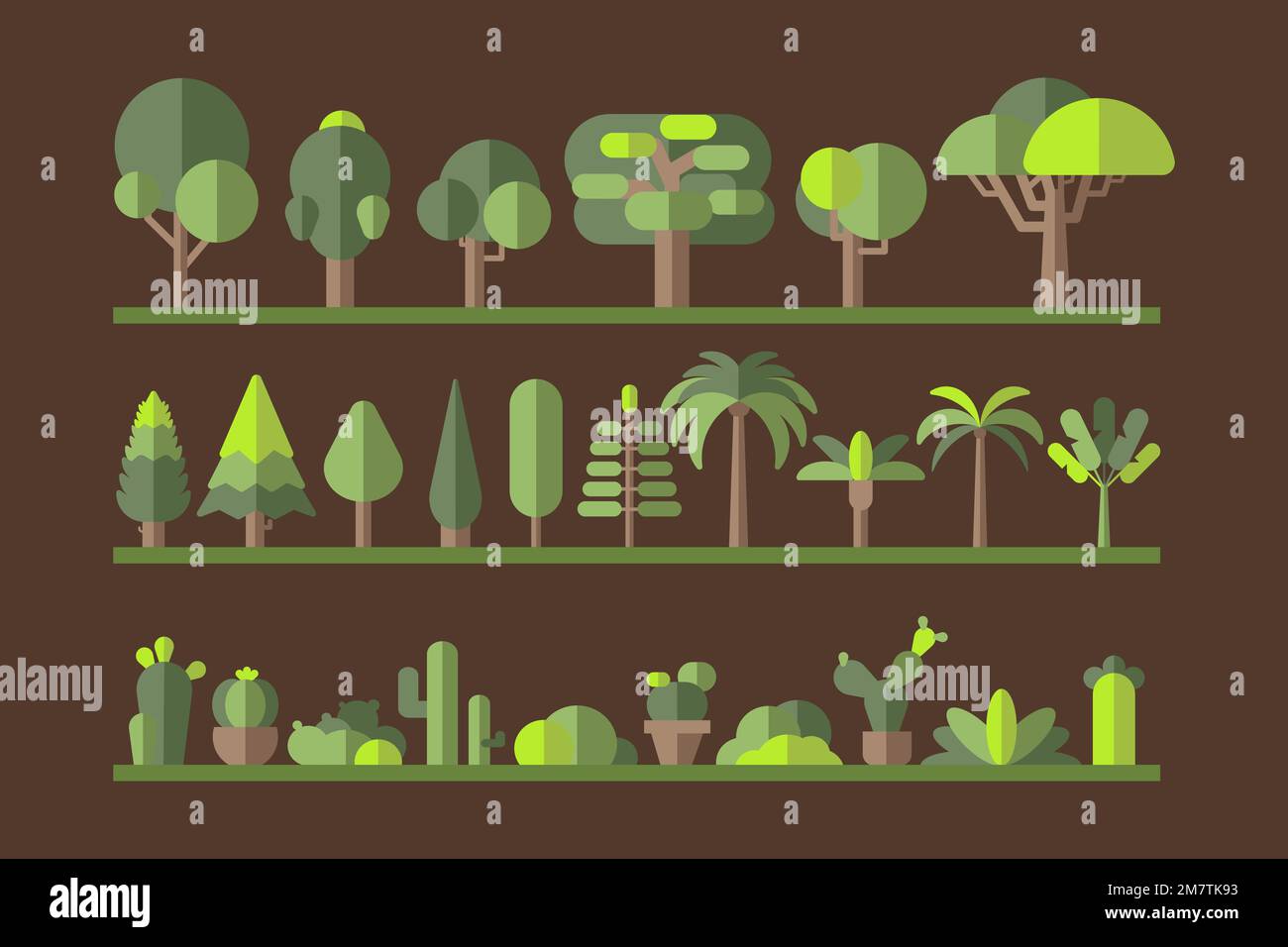 Green botany flat tree collection on a rack vector Stock Vector Image ...