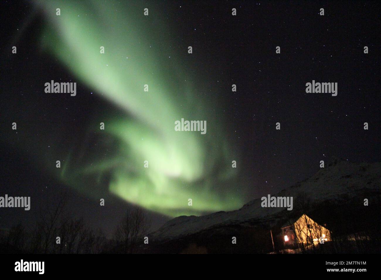 The breathtaking northern lights against a starry night sky Stock Photo ...