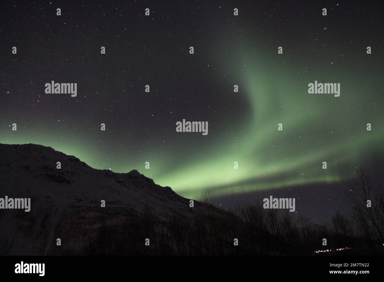 The breathtaking northern lights against a starry night sky Stock Photo ...