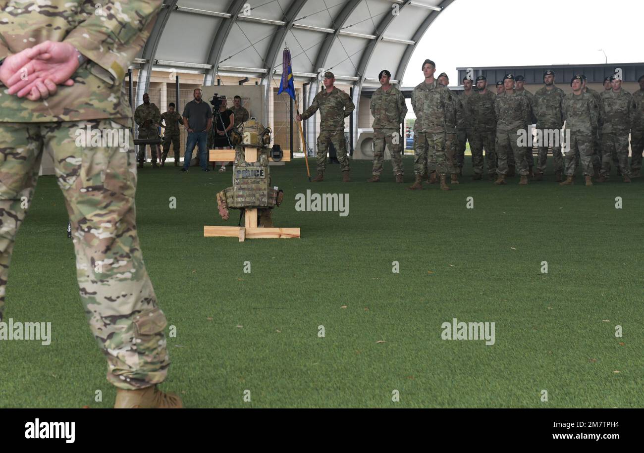 Members of the 325th Security Forces Squadron stand in formation during