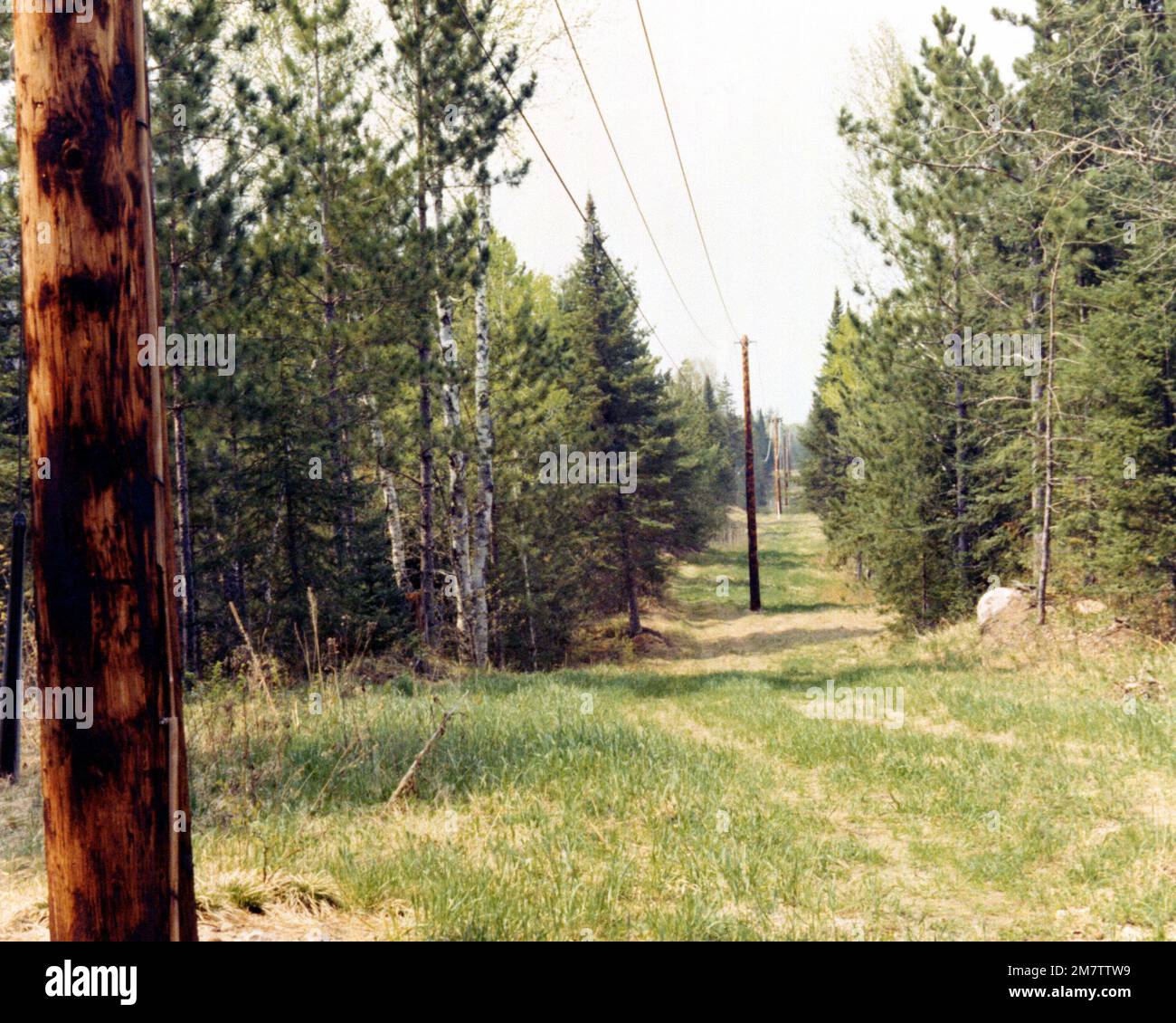 A section of a commercial power line runs through a national forest